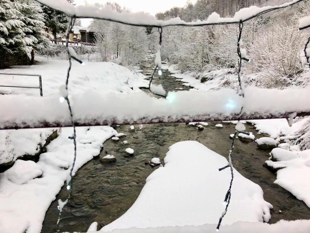 Podul De Brazi - Fir Bridge Villa Cîrţişoara Kültér fotó