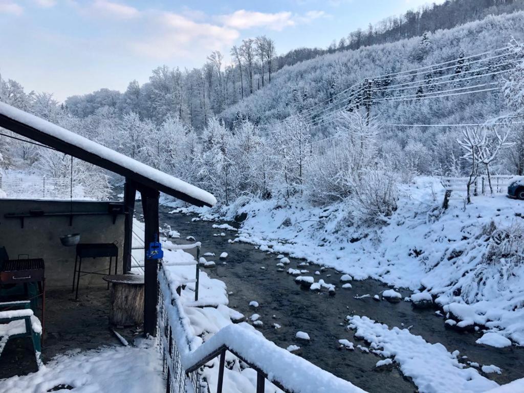 Podul De Brazi - Fir Bridge Villa Cîrţişoara Kültér fotó