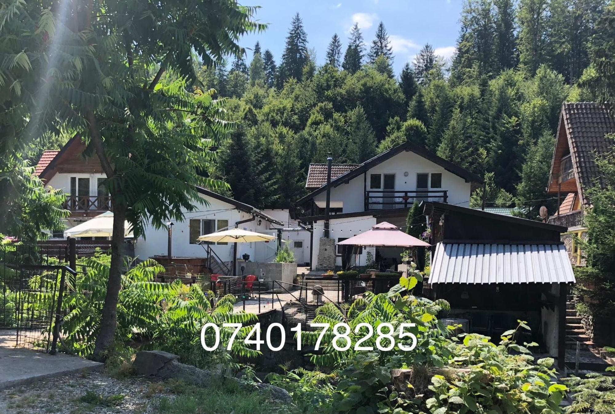 Podul De Brazi - Fir Bridge Villa Cîrţişoara Kültér fotó